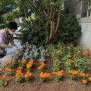 선부3동행정복지센터 이미지