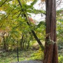 달숲스테이 이미지