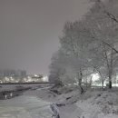 다인 행정사사무소 이미지