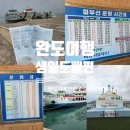 약산면-2 | 완도가볼만한곳 생일도 가는 방법 완벽 가이드! 2026 당목항 배시간표, 가격, 전기차 꿀팁