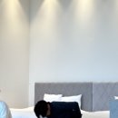 오송모먼트 이미지