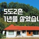 창포담배