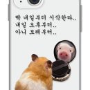 케이스몰 이미지