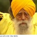 파우자 노컷뉴스
