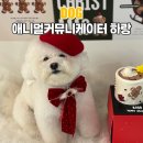 펫온비즈 주식회사 | 애니멀커뮤니케이터 하랑과 나눈 동물교감 상담 솔직 후기