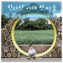 모암마을영농조합 | [제주] 한라산아래첫마을 방문 후기, 메뉴, 대기시간