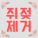 일산실면도