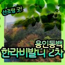동백한라공인중개사사무소 이미지
