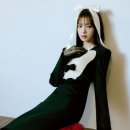 노정의 카카오 검색결과