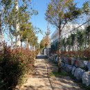 여수산단1로 이미지