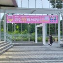 2024 경주 술술페스티벌 후기 HICO 여름 맥주 축제 다녀왔어요
