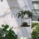 뜰위에농장 이미지