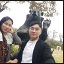 천마리농장 | 세종) [베어트리파크]# 불곰,반달곰과 달달한 데이트♥