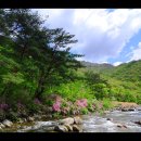 그해 바다 이미지