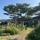 카페이림 : 강화도 정원이 예쁜 카페 내돈내산 후기