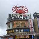 머구리횟집 | 🐟 속초대포항횟집 머구리횟집 – 가족모임으로 다녀온 후기