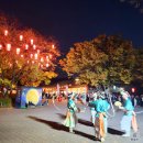 야간)사물놀이 | 경기도 용인시 단풍명소 한국민속촌(feat. 야간개장)