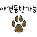 두드림캠핑장 이미지