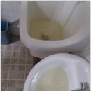 ㈜태화케미칼 | 대구,경북-아파트,빌딩,상가대형건물녹물제거,전원 주택및 산업현장까지,배관녹물청소