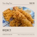 UR(김해시)-[율하로]-하-19 | 첫방문에 반함...재방문 의사 100%│장유 돈까스 맛집 파인피그