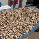 부석냉면 이미지