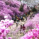 봄비문학관 이미지