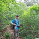 동천 | 산행후기_mr.j 87 화순 지장산 수레바위산 만연산 3