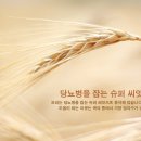 보리한의원 이미지