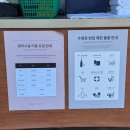 다인리조트주 | 원주 오크밸리 리조트｜실내수영장·야외수영장·먹거리 후기