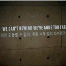 억새풀