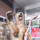 하나목장 이미지