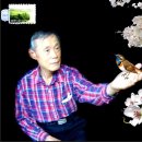 카페직