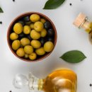 올리브독 이미지