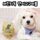 비마인 독 | 브런치독 연어고구마볼 : 쓰리 이슬이 반해버린 강아지수제간식
