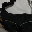 부산 강아지분양 디테일퍼피 이미지