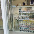 별따줄개 이미지