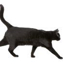 베이동물병원 이미지