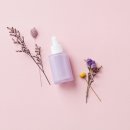 송파 행정사 사무소 이미지