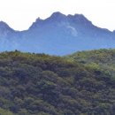 증산초등학교 이미지