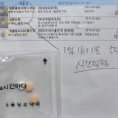 6층성모약국 티스토리