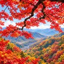 2026년 11월7일(토) 내장산 단풍산행 안내 (한성기준 6시30분 출발) 이미지