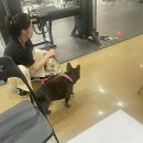 숑숑짐 이미지