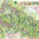 선암골생태유람길 이미지