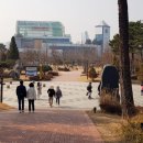 족도