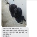 꼬꼬마망 이미지
