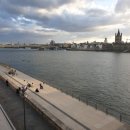 비스코헬스케어 이미지