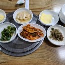 메기네어탕 이미지