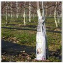 춘기축산 | 주간농사정보(제1호,2016.1.3 ~ 1.9.)제공