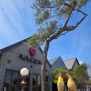 동주숯불구이막국수 | [춘천 신북 맛집 추천] 주말 나들이의 완벽한 완성, 화계닭갈비 숯불구이와 막국수 후기