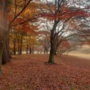 금강 자전거길 이미지